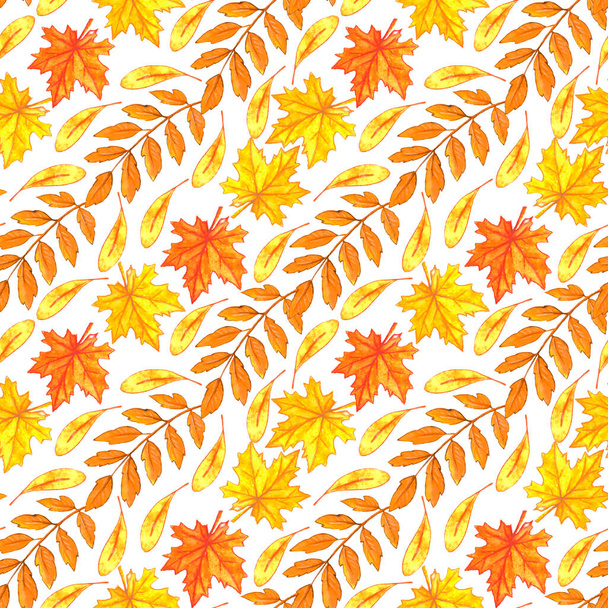 Watercolor autumn leaves seamless pattern. Colorful backgrounds and textures for seasonal design, packaging, home textiles, fabric, thanksgiving theme and happy fall. - Photo, Image