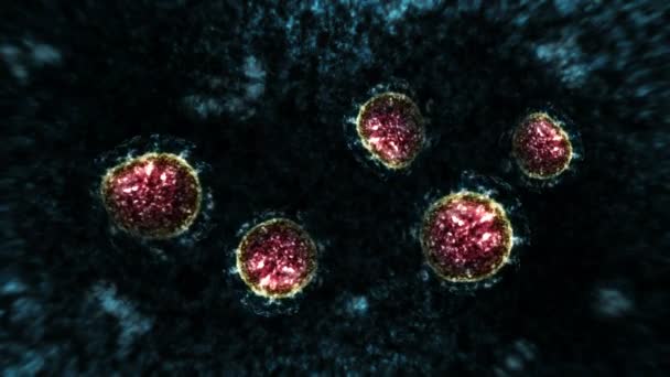 Virus und Bakterien unter der Lupe. Coronavirus, COVID-19, Grippe, SARS, MERS. Mikrobiologisches Konzept. Coronaviren verursachen Pandemiegefahr. Schleifenanimation. - Filmmaterial, Video