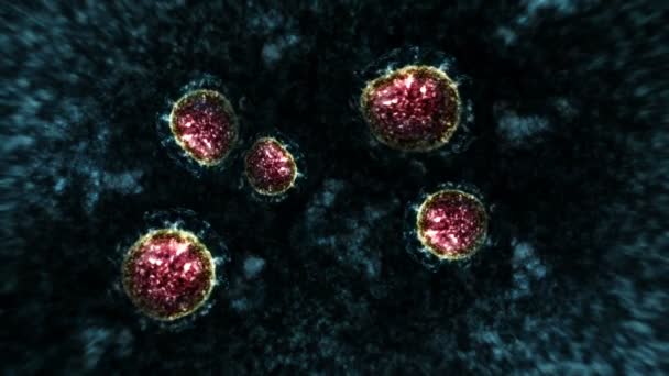 Mikroskop altında virüs ve bakteri. Coronavirus, COVID-19, Influenza, SARS, MERS. Mikrobiyoloji konsepti. Corona virüsleri salgın tehlikesine neden olur. Döngü canlandırması. - Video, Çekim