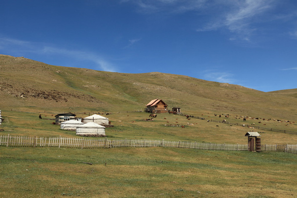 Village de yourtes en mongolie
 - Photo, image
