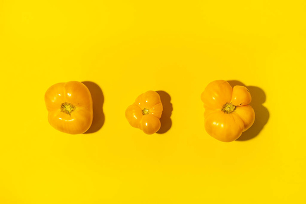 Three yellow different sizes and forms farm tomatoes laid out in row in center of bright yellow background. - Photo, image