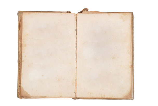 Very old book with Two Blank pages for your copy - Foto, Imagem