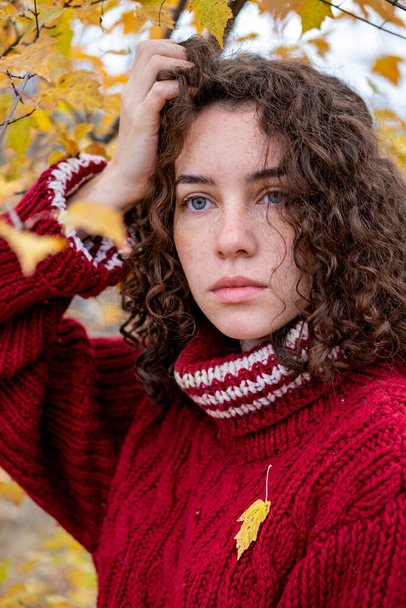 Дівчина в теплому светрі в осінньому парку
 - Фото, зображення