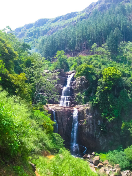 Cascada en bosque tropical verde en Nuwara Eliya, Sri Lanka. - Foto, Imagen