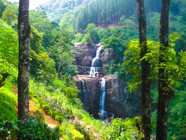 Wasserfall im grünen Tropenwald von Nuwara Eliya, Sri Lanka. - Foto, Bild