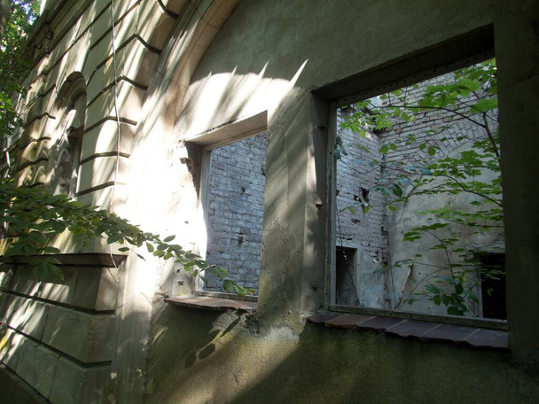 sassnitz schloss dwasieden ruin in rugen island germany - Photo, Image