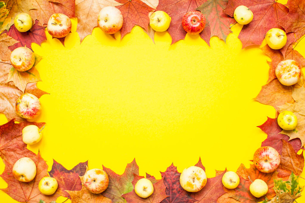Frame made from red and orange autumn maple leaves and garden apples on a bright yellow background. Layout. - Foto, Bild