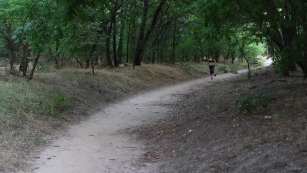 La chica se dedica a los deportes que corren en el bosque, se detiene y hace ejercicios para restaurar el ritmo de la respiración. Deporte en la naturaleza entre los árboles por la noche - Metraje, vídeo