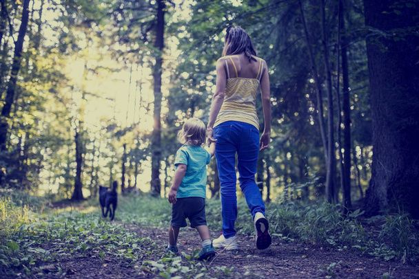 Femme et enfant promenant un chien dans la forêt
 - Photo, image
