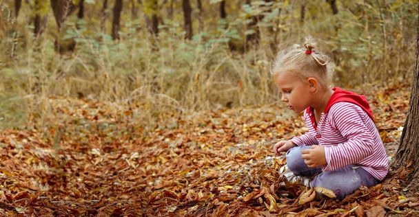 Feliz menina ay bonito 3 anos, brincando com folhas ao ar livre. Retrato de outono de uma criança bonita. Momentos de infância. Espaço livre para o seu texto. - Foto, Imagem