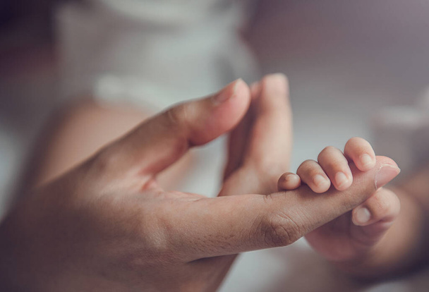 Bebé recién nacido sosteniendo la mano de la madre. - Foto, imagen