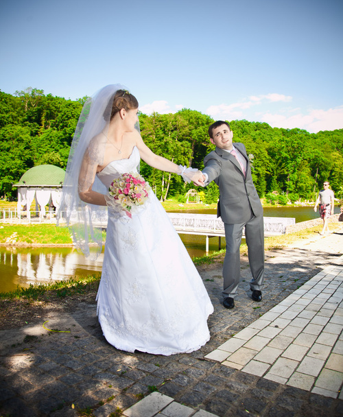 Outdoor portrait of bride pulling by hand resist groom - Photo, image