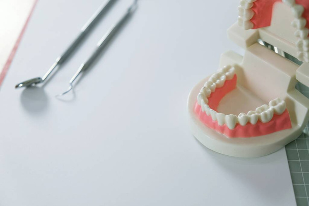 Diente sano blanco con modelo dental en concepto de cuidado de la salud bucal - Foto, imagen