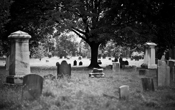 Кладбище - Фото, изображение