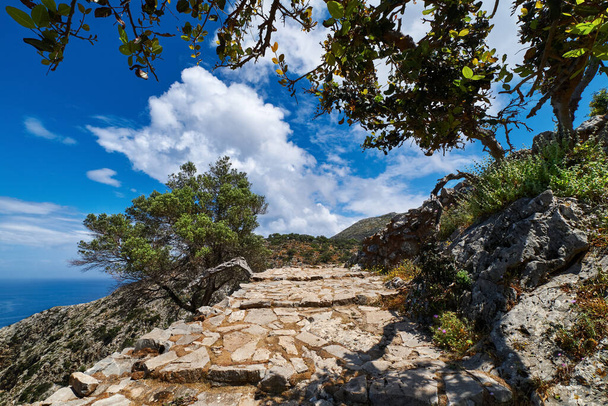 Tipikus görög táj. Kikövezett ösvény, dombok, bokrok. Nagy olajfa, masztix vagy babérfa. Kék ég, gyönyörű felhők. A tenger. Akrotiri, Chania, Kréta, Görögország - Fotó, kép