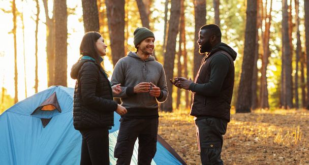 Mochileros amistosos discutiendo ruta de viaje, teniendo campamento en el bosque - Foto, imagen