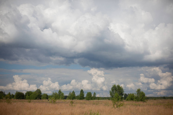 Field with clouds. Natural landscape on a summer day.  - Foto, Imagem