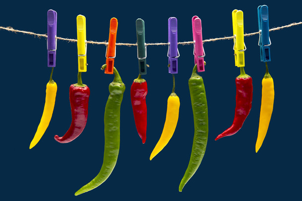 peppers hanging on clothespins. Vegetable vitamin food. Colored hot chili - Photo, Image
