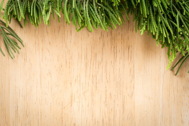 Υποκαταστήματα arborvitae, Juniper κλαδιά σε ξύλο Χριστουγεννιάτικο φόντο. - Φωτογραφία, εικόνα