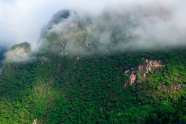 Bílá mlha a mraky nad zelenou vápencovou horou v ranním světle v národním parku Khao Sok v Thajsku. - Fotografie, Obrázek