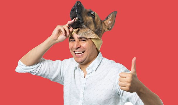 Man die een hondenmasker afdoet glimlachend en de duimen opgeeft. Geïsoleerde rode achtergrond. Middelmatig schot.  - Foto, afbeelding