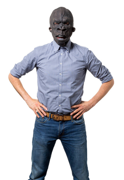 Hombre con máscara de gorila con las manos en las caderas frente a la cámara. Recorte aislado sobre fondo blanco. Tiro medio.  - Foto, Imagen