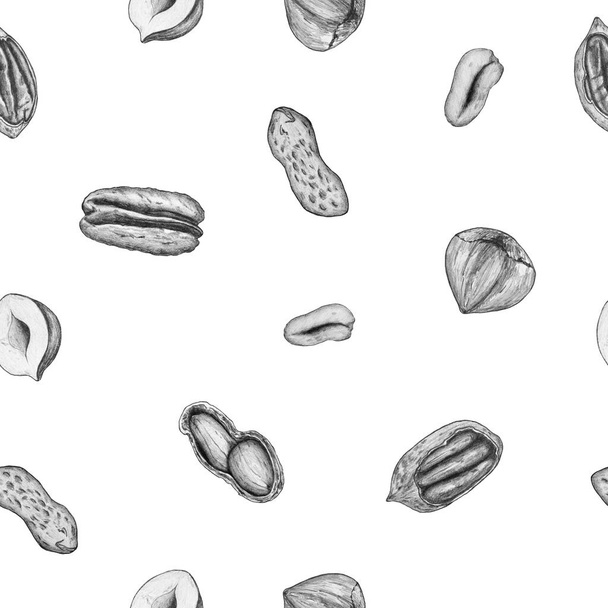Seamless pattern, illustration drawn in pencil on a white background isolated. Realistic peanuts, pecans, hazelnuts. Illustration for flyer, poster, wallpaper, web, invitation, greeting card, menu. - Foto, Imagem