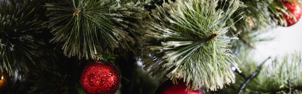 Panoramic shot of pine branches with red christmas balls - Photo, Image