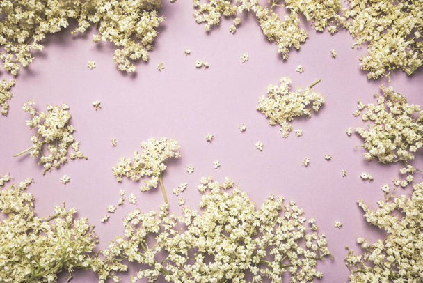 Elderflower on purple color background, top view with copy space. Vintage toned floral background. Floral pattern. - Photo, image