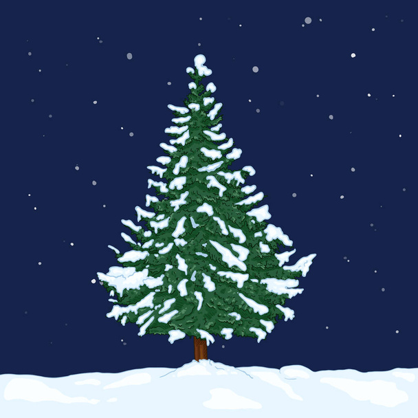 Vector Cartoon Evergreen Pine Tree in einer verschneiten Winternacht. Immergrüner Nadelbaum - Vektor, Bild
