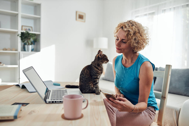 Frau arbeitet von zu Hause aus an Laptop / Notebook mit Katzenhaustier. - Foto, Bild