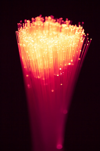 bouquet de fibres optiques
 - Photo, image