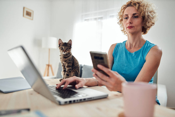 Γυναίκα που εργάζονται από το σπίτι σε ένα φορητό υπολογιστή / σημειωματάριο με γάτα κατοικίδιο ζώο μαζί της. - Φωτογραφία, εικόνα