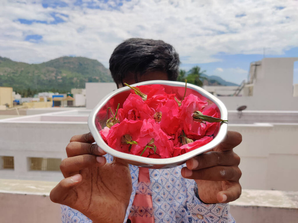 Hombre indio del sur cubriéndose la cara con un plato lleno de rosas rosadas. Al aire libre. - Foto, Imagen