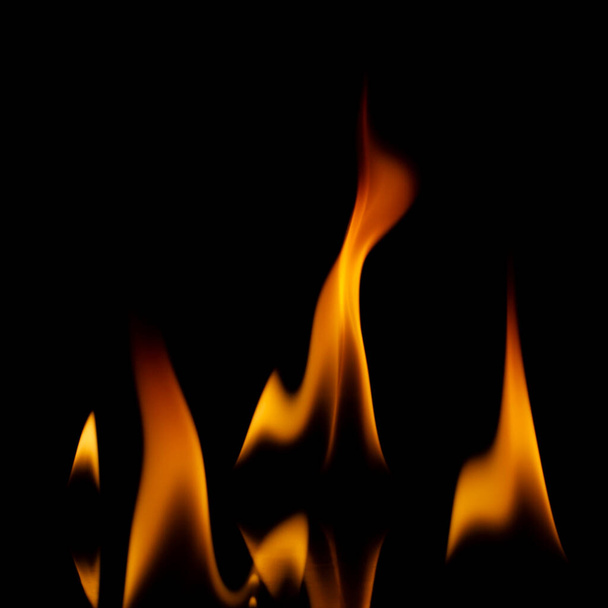 Fire flames isolated on black background - Photo, Image