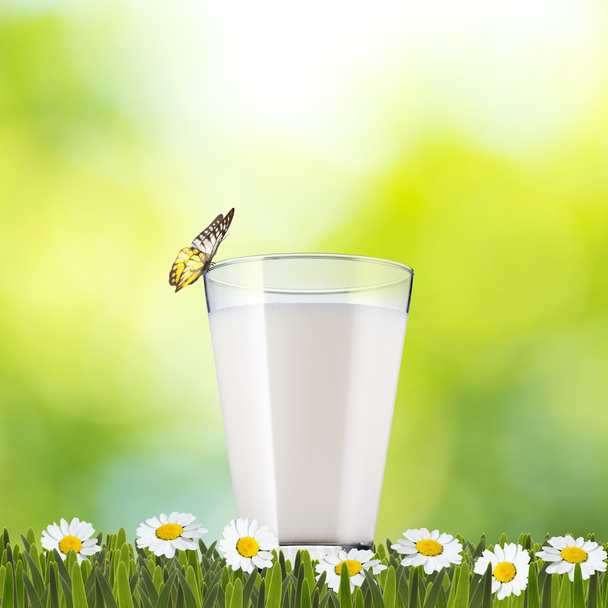 Glass of Milk On Green Grass - Foto, imagen