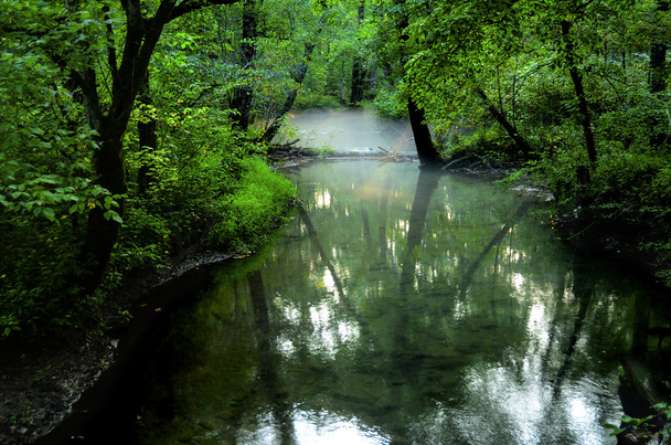 Great Smoky Mountain kansallispuisto, Tennessee
 - Valokuva, kuva