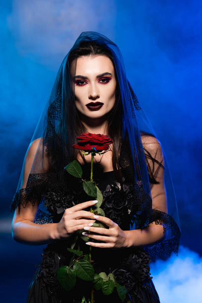 brunette bride in black dress and veil holding red rose on blue with smoke, halloween concept - Фото, зображення