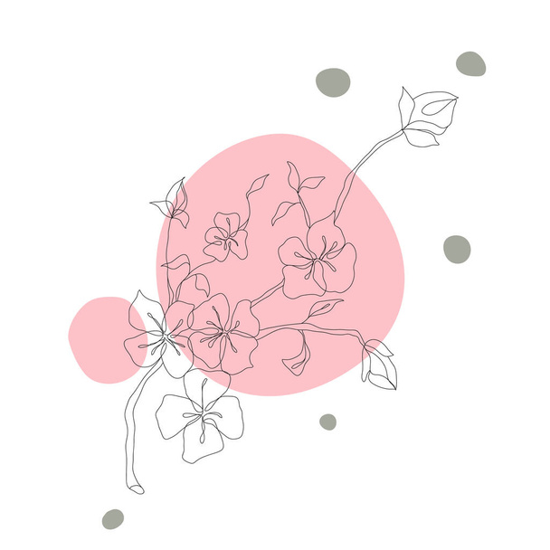 Abstraktní jednořádkové výtvarné listy. kresba obrysu květiny. Minimální umělecký květ na pozadí geometrických tvarů. Elegantní kresba spojité čáry - Vektor, obrázek
