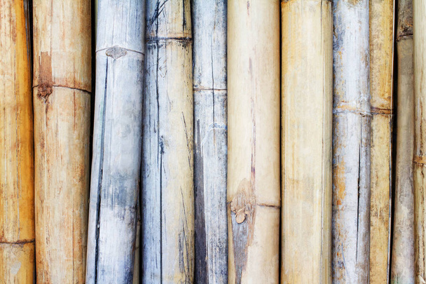 Trockene Bambus Textur Hintergrund. - Foto, Bild