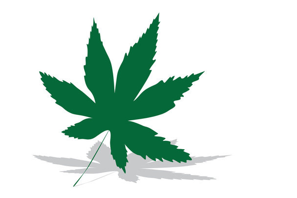 Cannabis leaf - Vector, afbeelding