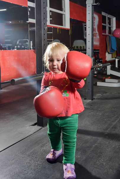 Little girl in red boxing gloves in the gym. - Photo, Image