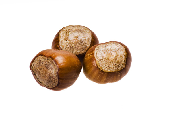 Kuorelliset pähkinät
 - Valokuva, kuva