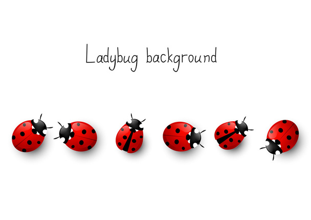 ladybug граница - Вектор,изображение