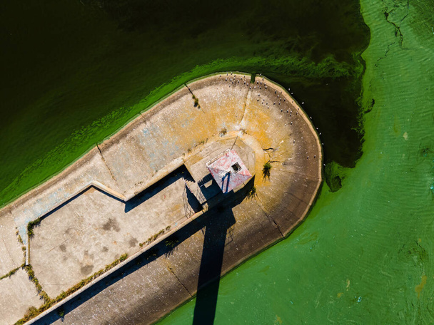 Vista aérea del faro rodeado de florecimiento de algas - Foto, imagen
