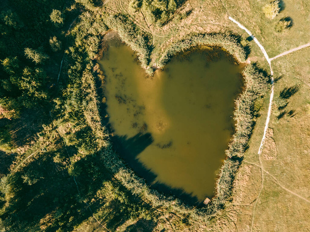 Aerial view of heart shaped pond - Foto, Imagem