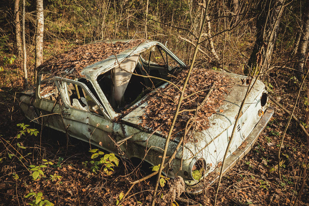 old car abandoned in the forest/abandoned old car littering the forest - Foto, immagini