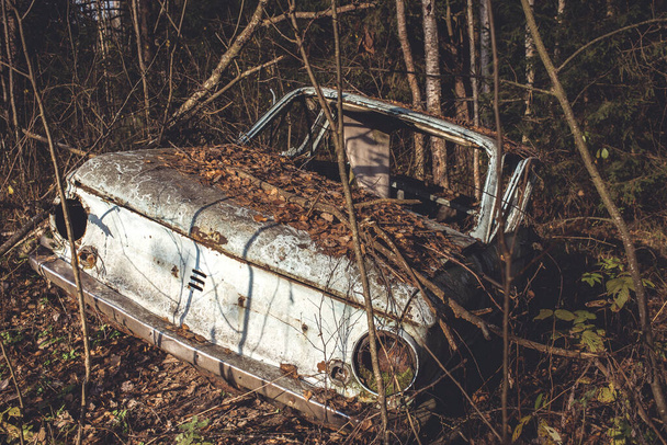 old car abandoned in the forest/abandoned old car littering the forest - Photo, image