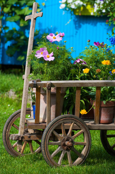Stary drewniany wózek w idyllicznym ogrodzie - Zdjęcie, obraz