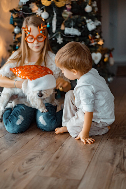 Happy children siblings play and have fun by the Christmas tree, - Fotó, kép